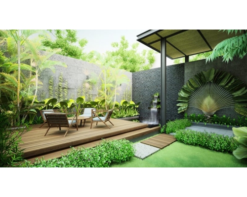 Những Loại Cây Thủy Sinh Thích Hợp Cho Phòng Làm Việc