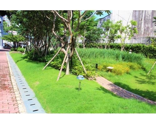 Tư Vấn Thiết Kế Cảnh Quan