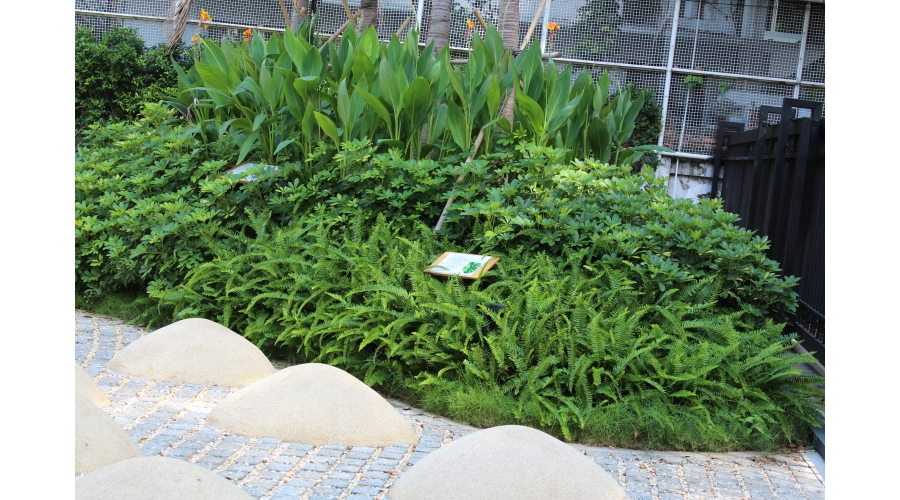 TRƯỜNG ĐẠI HỌC XÂY DỰNG MIỀN TÂY