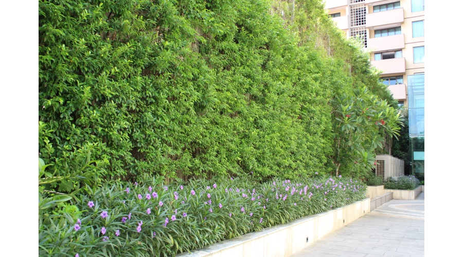 TRƯỜNG ĐẠI HỌC XÂY DỰNG MIỀN TÂY